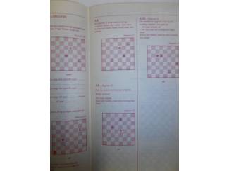 Gezelschapsspellen Schaak!