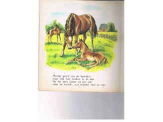 Kinderboeken Wij horen bij elkaar