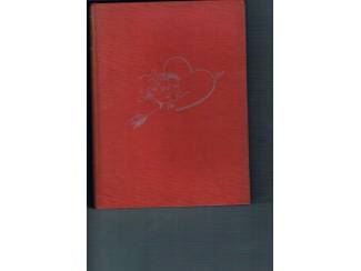 Romans Sanne van Havelte &ndash; Hun geheim