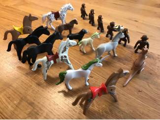 Speelgoed | Playmobil Zak met 19 Playmobil dieren