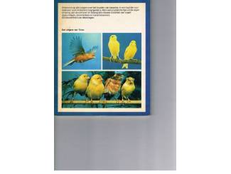 Huisdieren Kanaries &ndash; Otto von Frisch