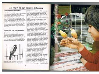 Huisdieren Kanaries – Otto von Frisch