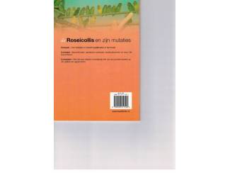 Huisdieren De Roseicollis en zijn mutaties