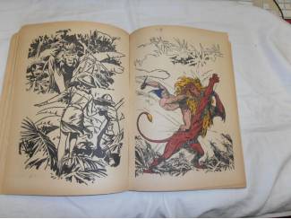 Stripboeken Tarzan kleurboek