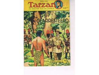 Tarzan &ndash; Metropolis nr. 21 &ndash; Gearresteerd