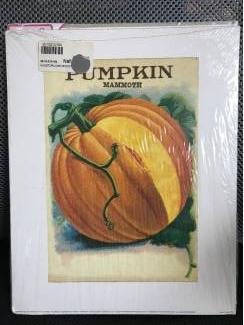 Woonaccessoires | Schilderijen en Posters Verschillende posters 24 x 30 cm