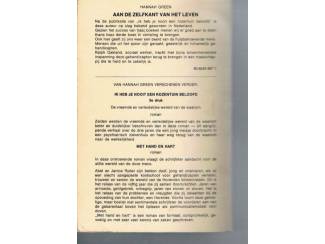 Romans Hannah Green &ndash; Aan de zelfkant van het leven (1e druk)