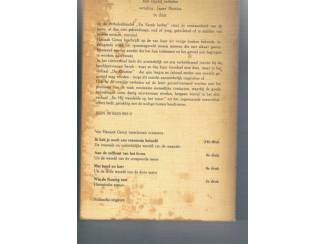 Romans Hannah Green &ndash; En Sarah lachte