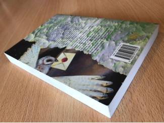 Fantasy Harry Potter - en de steen der wijzen