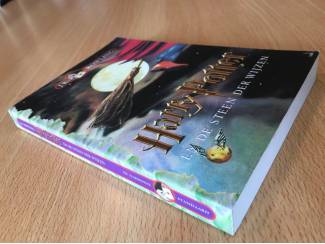Fantasy Harry Potter - en de steen der wijzen