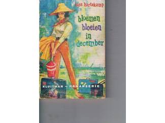 Hans Hartekamp &ndash; Bloemen bloeien in december