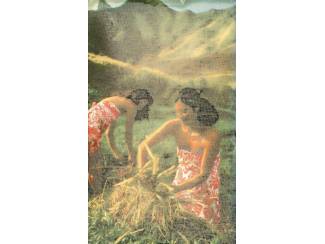 Reisboeken Aku Aku - Thor Heyerdahl