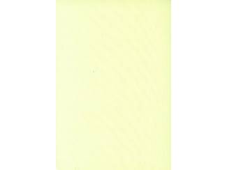 Reisboeken Tweestromenland - Regge en Vecht - GJ Hesselink