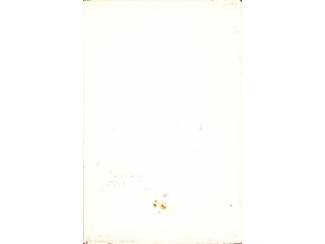 Automotive De Automobiel dl 1 - De Motor - G.F Steinbuch