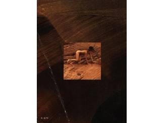 Kunst en Foto Snoecks 81