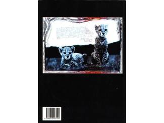 Kunst en Foto Snoecks 2001 - Yamila Diaz