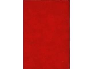 Reisboeken Uit in eigen land - RD - ANWB.