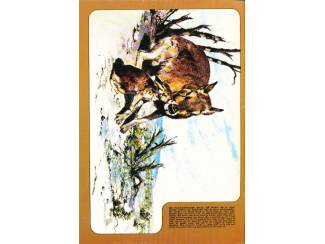 Stripboeken Debbie Stripstory 4 - 1984