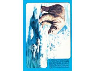 Stripboeken Debbie Stripstory 11 - 1982