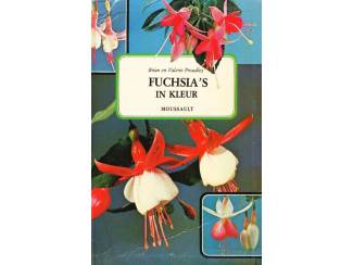 Fuchsia's in kleur - Moussault