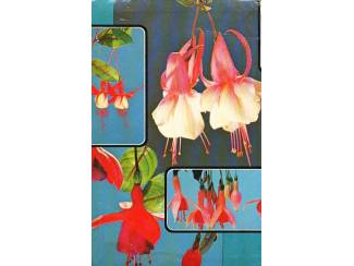 Flora en Fauna Fuchsia's in kleur - Moussault