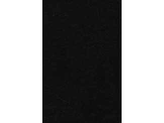 Avontuur en Actie De Zeewolf - Jack London