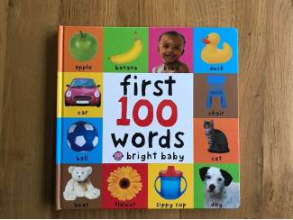 First 100 words bright baby