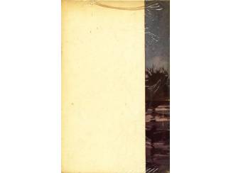 Jeugdboeken Pim Pandoer dl 4 - Pim Pandoer zet Parijs op stelten - Carel Beke