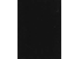 Studieboeken Leerboek voor de politie dl 4