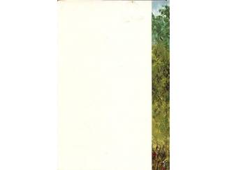 Religieus Wielke, de keuterboer - Jac. Overeem ( Zondagsschoolboek )