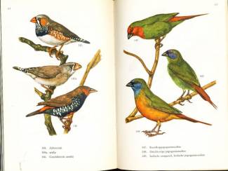 Flora en Fauna Kooivogels in kleuren - Dr. W. Postma en H. Kleijn - Meulenhoff