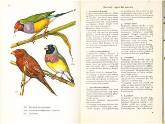 Flora en Fauna Kooivogels in kleuren - Dr. W. Postma en H. Kleijn - Meulenhoff