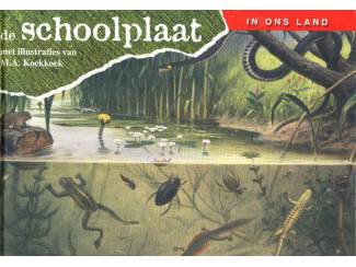 De Schoolplaat - In ons land - Libre