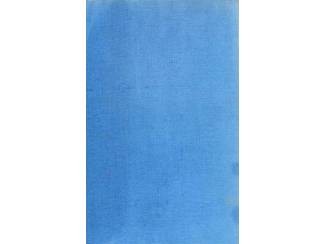 Geschiedenis en Politiek Blubber - J.W. Hofwijk