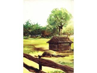 Jeugdboeken Bonno de zwarte pony op de vlucht - Henri Arnoldus