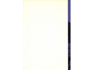 Romans 's Nachts wordt elke steen een wolf - Yigal Lev