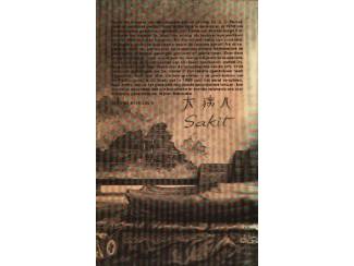 Geschiedenis en Politiek Soldatendominee - J C Hamel.