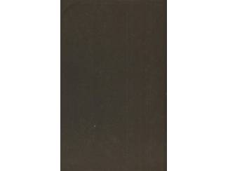 Avontuur en Actie Michael Strogoff De Koerier van de Tsaar - Jules Verne