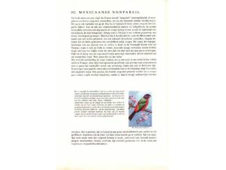 Plaatjesalbums Zo leer je vogels kennen  dl 4 - Exotische volierevogels - Rinke