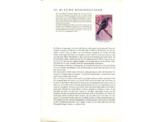 Plaatjesalbums Zo leer je vogels kennen  dl 4 - Exotische volierevogels - Rinke