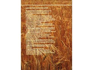 Medisch en Gezondheid Gezond eten Gezonder leven - C.A. Kool-Drop - Readers Digest