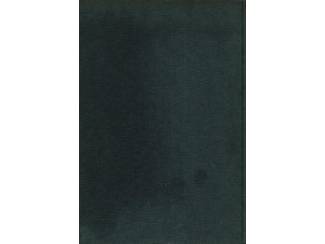 Biografie&euml;n De wereld van Cornelis Jetses - Jan. A. Niemeijer