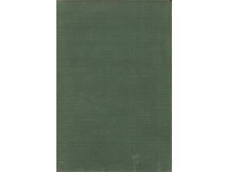 Romans De Goudkoning - Aleid W. van de Bunt