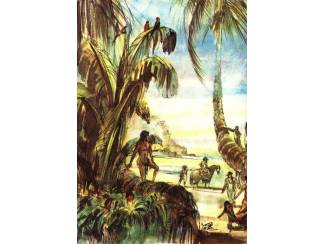 Reisboeken De latere reizen van Robinson Crusoe - Daniel Defoe