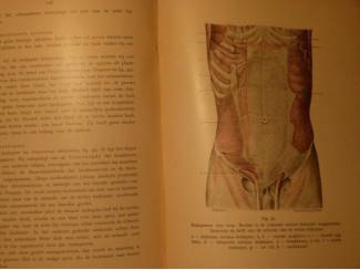 Studieboeken Beginselen der anatomie van het bewegingsapparaat - Dr J.H.O. Rey