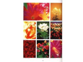 Creativiteit Bavaria Bildagentur 21 - Picture book