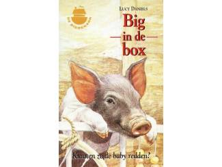 Jeugdboeken Big in de box - Lucy Daniels