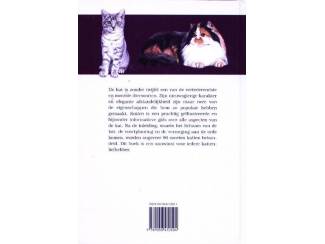 Huisdieren Katten - Albert Pintera