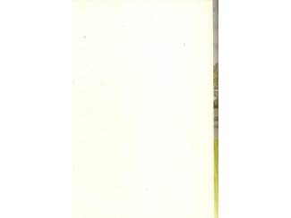 Romans Het zegel van Singraven - John Reyman