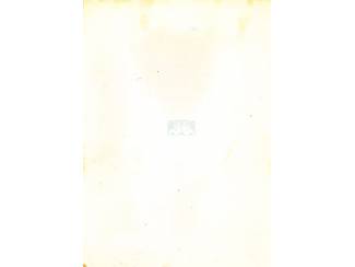 Overige Boeken en Diversen Vliegende Vleugels - C van Steenderen